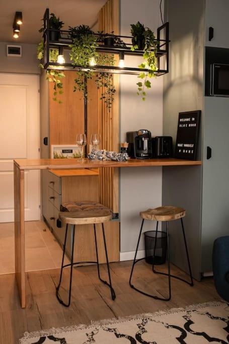 Blue Moon. Cozy Apartment Near Iulius Mall Cluj Napoca Bagian luar foto