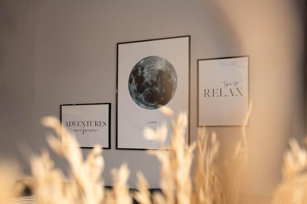 Blue Moon. Cozy Apartment Near Iulius Mall Cluj Napoca Bagian luar foto