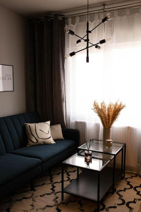 Blue Moon. Cozy Apartment Near Iulius Mall Cluj Napoca Bagian luar foto